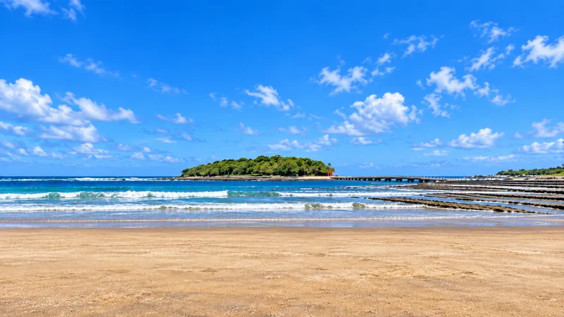 青島海岸